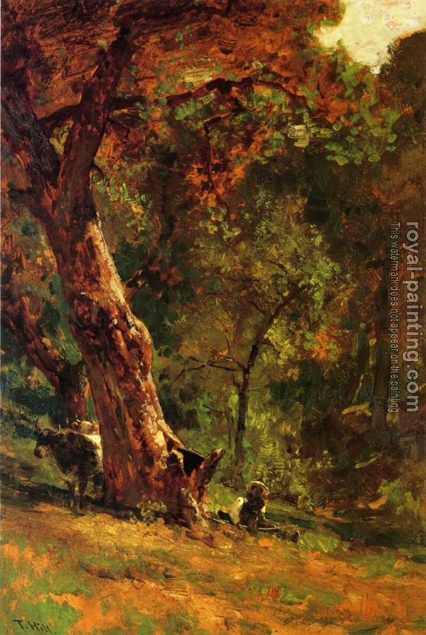 Thomas Hill : Chinese Man Tending Cattle Thomas Hill : Chinese Man Tending Cattle